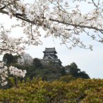 愛知県 国宝犬山城が補修工事