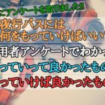 夜行バスにネックピローはいらない?利用者アンケートでわかった 持っていって良かったものと持っていけば良かったもの!!
