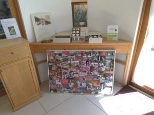 プルシック店内 所シェフ