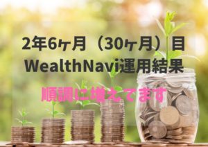 2年6ヶ月(30ヶ月)WealthNavi(ウェルスナビ)運用結果