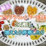 VアップシェイパーEMS体験記21週目 増えたり停滞したり