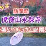 虎渓山永保寺訪問レビュー　紅葉とイチョウと庭園と