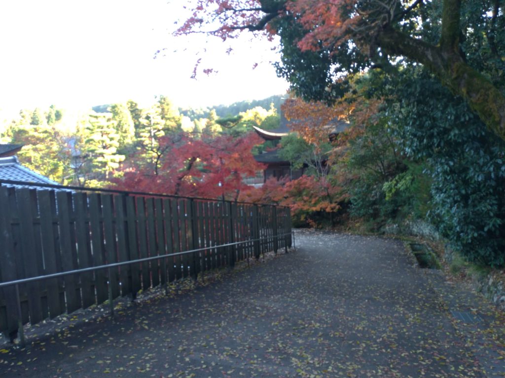 永保寺の急な坂道