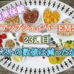 vアップシェイパーems効果体験23週目 ウエストの数値は減ったが…