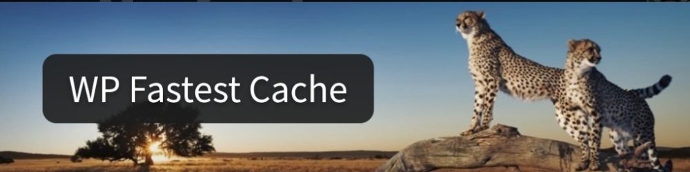 初心者におすすめプラグイン