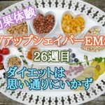 vアップシェイパーems効果体験26週目 ダイエットは思い通りにいかず
