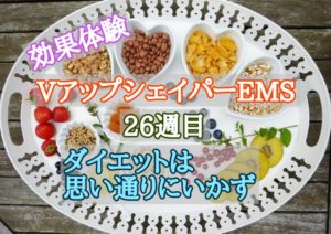 vアップシェイパーems効果体験26週目 ダイエットは思い通りにいかず