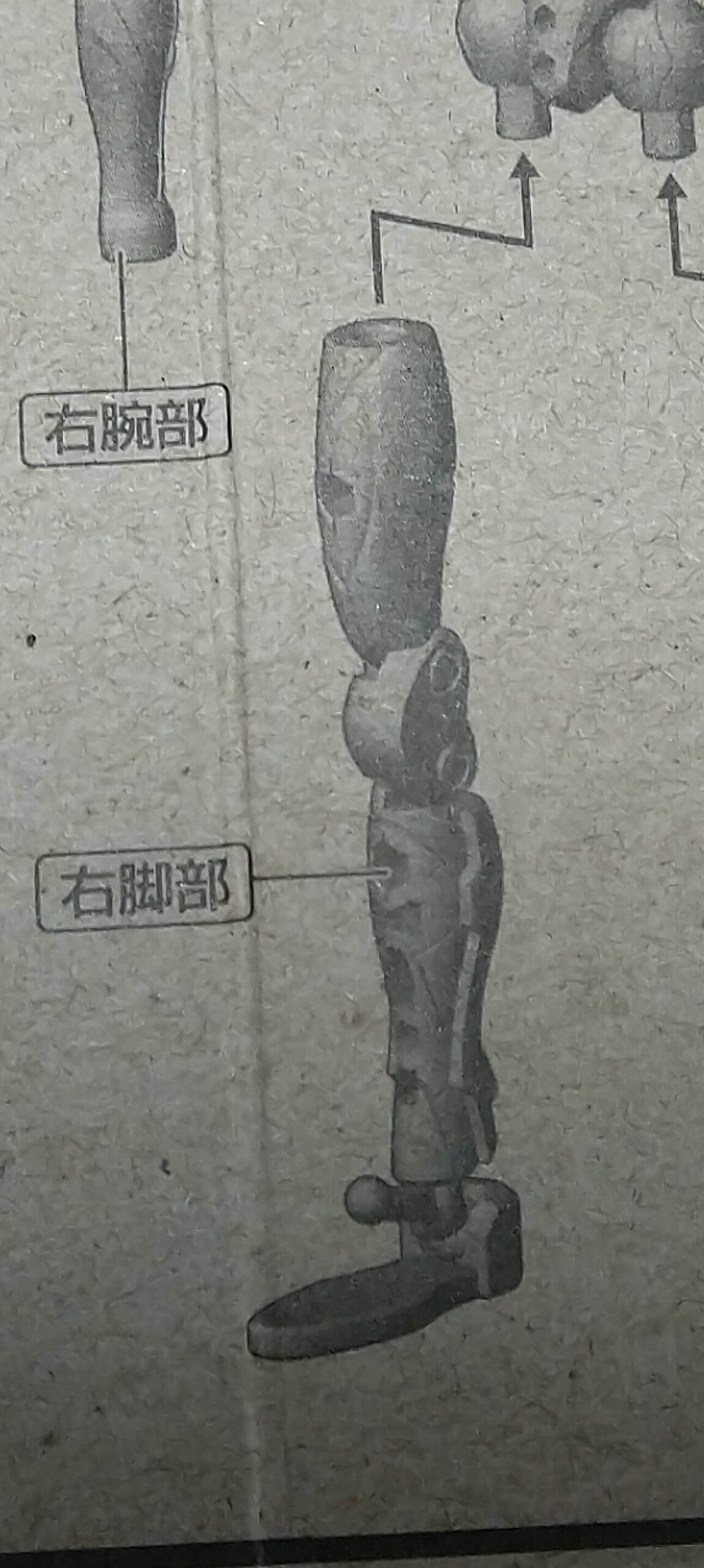 EVA-FRAME02エヴァンゲリオン初号機フレームセット　脚部の組み立てわからない