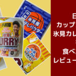 日清カップヌードル氷見カレービッグを食べたのでレビューしてみる