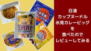 日清カップヌードル氷見カレービッグを食べたのでレビューしてみる