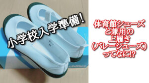 小学校入学準備！上履き（バレーシューズ）と体育館シューズ兼用ってなに!?